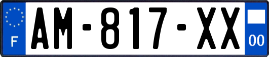 AM-817-XX
