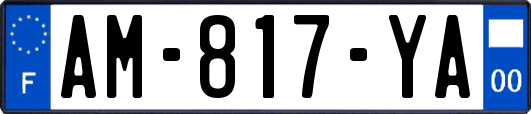 AM-817-YA