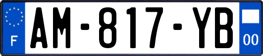 AM-817-YB