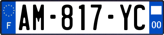 AM-817-YC