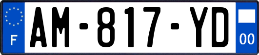 AM-817-YD