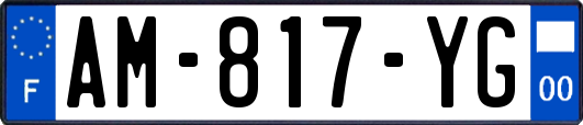 AM-817-YG