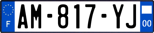 AM-817-YJ