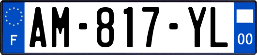 AM-817-YL