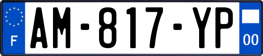 AM-817-YP
