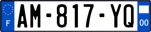 AM-817-YQ
