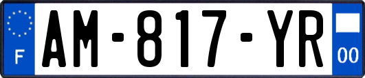 AM-817-YR