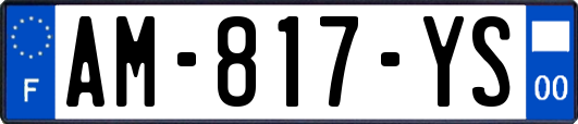 AM-817-YS