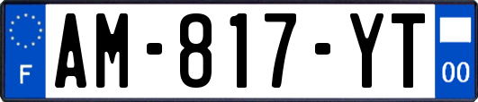 AM-817-YT