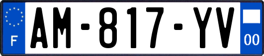 AM-817-YV