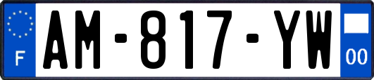 AM-817-YW