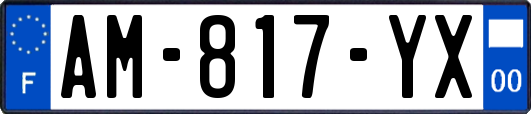 AM-817-YX