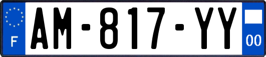 AM-817-YY