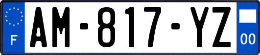 AM-817-YZ