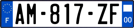 AM-817-ZF