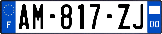 AM-817-ZJ