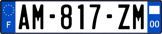 AM-817-ZM