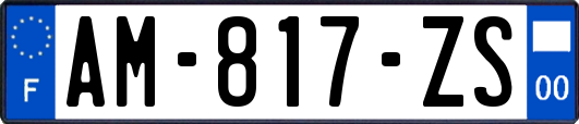 AM-817-ZS