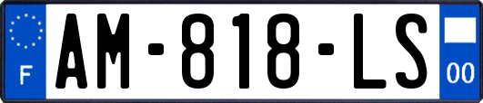 AM-818-LS