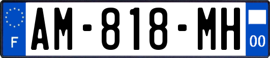 AM-818-MH