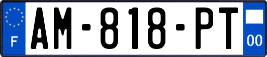 AM-818-PT