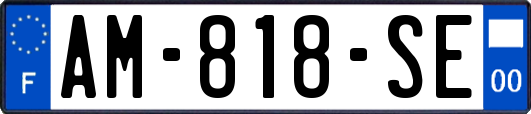 AM-818-SE