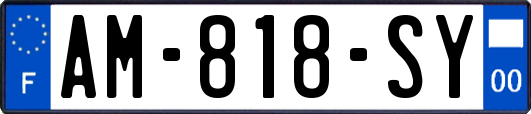 AM-818-SY