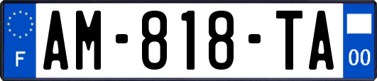 AM-818-TA