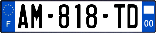AM-818-TD