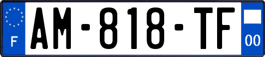 AM-818-TF