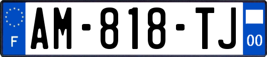 AM-818-TJ