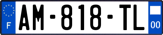 AM-818-TL