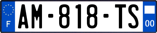 AM-818-TS