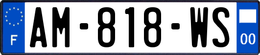 AM-818-WS