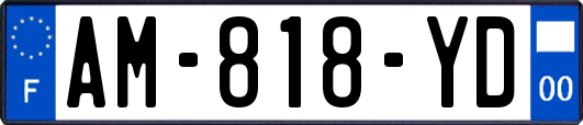 AM-818-YD