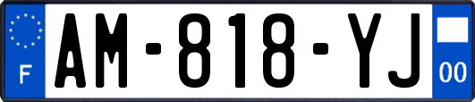 AM-818-YJ