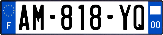 AM-818-YQ