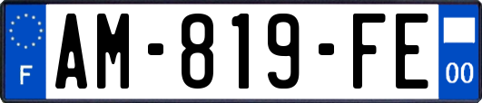 AM-819-FE
