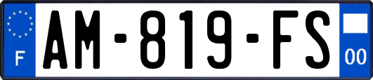 AM-819-FS