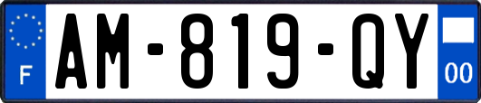 AM-819-QY