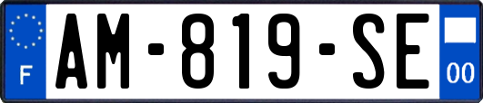 AM-819-SE