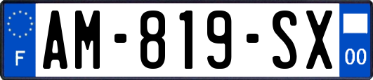 AM-819-SX