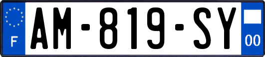 AM-819-SY