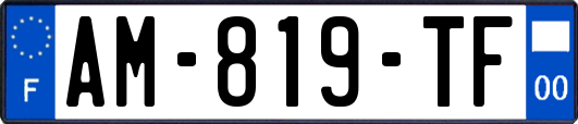 AM-819-TF
