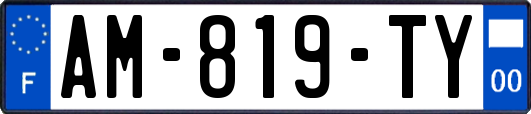 AM-819-TY