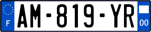 AM-819-YR