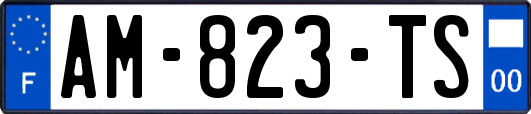AM-823-TS