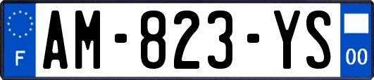 AM-823-YS