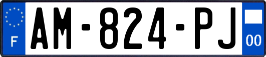 AM-824-PJ