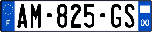 AM-825-GS